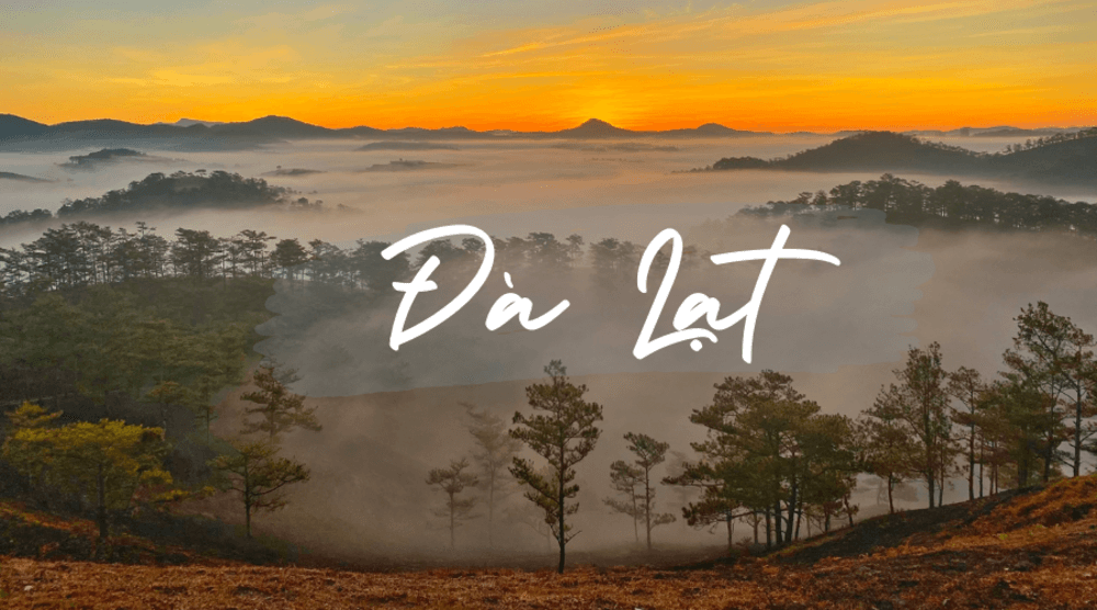 Đà Lạt 3 ngày 2 đêm