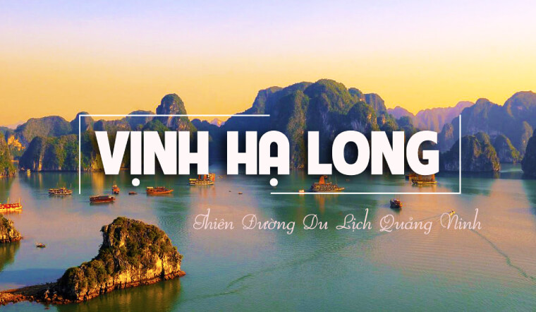 Combo 2N1D Vịnh Lan Hạ - Du thuyền 5* Stellar Of The Sea (Trải nghiệm câu mực đen, chèo thuyền Kayak , chơi golf)